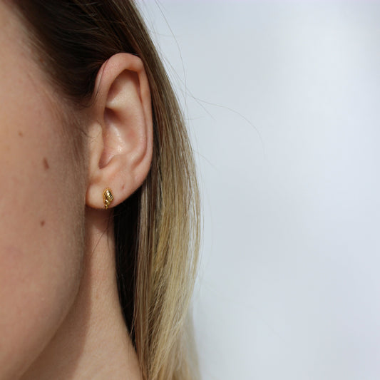 18k Gold Vermeil Spiral Shell Stud Earrings