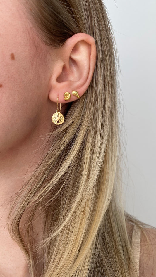 Gold Filled Shell Pearls Earrings ∙ Sand Dollar Charms ∙ Dangle Earrings ∙  Waterproof