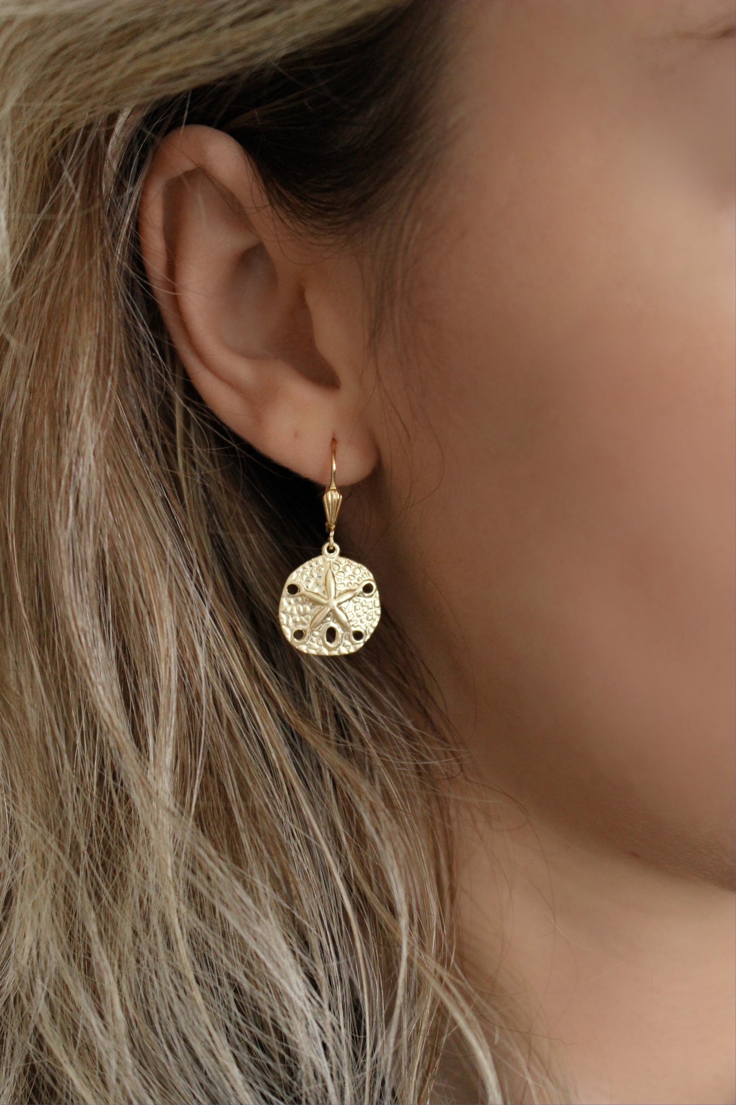 14k Gold Filled Sand Dollar Charms Earrings