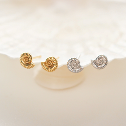 18k Gold Vermeil Ammonite Shell Stud Earrings