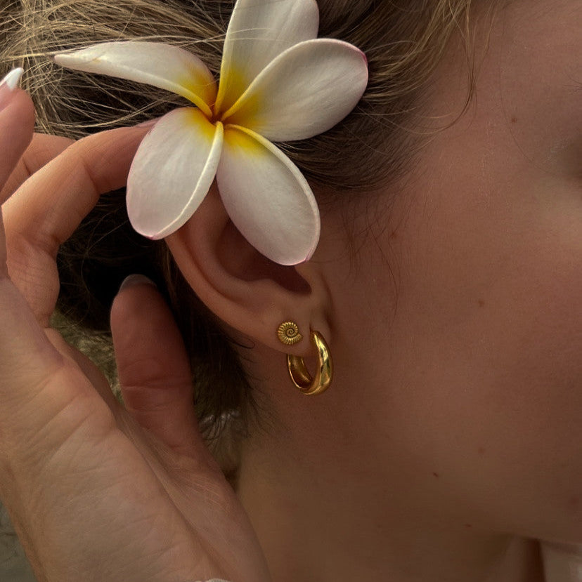 18k Gold Vermeil Ammonite Shell Stud Earrings